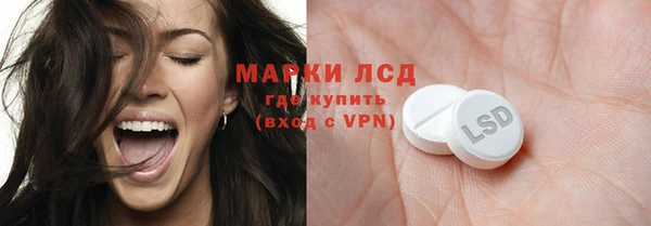 прущие грибы Балабаново